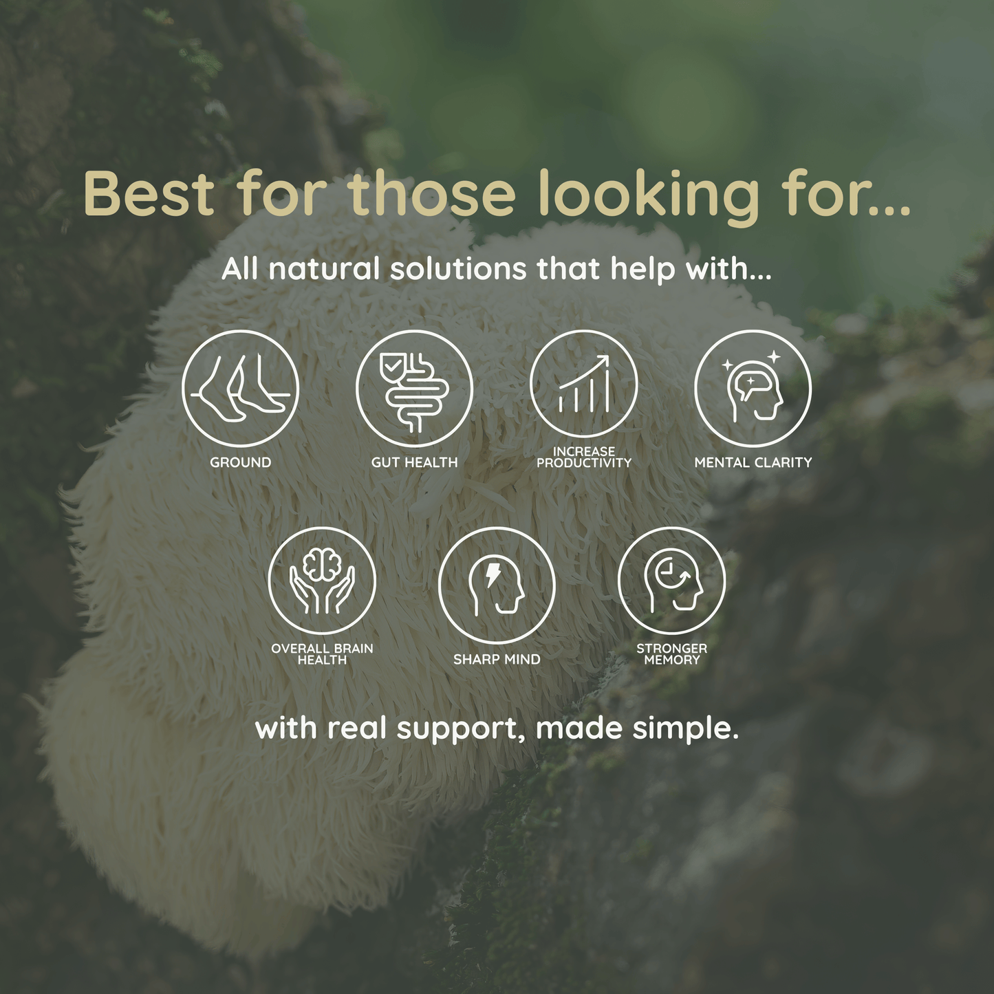 Focus* Capsules 60 Servings