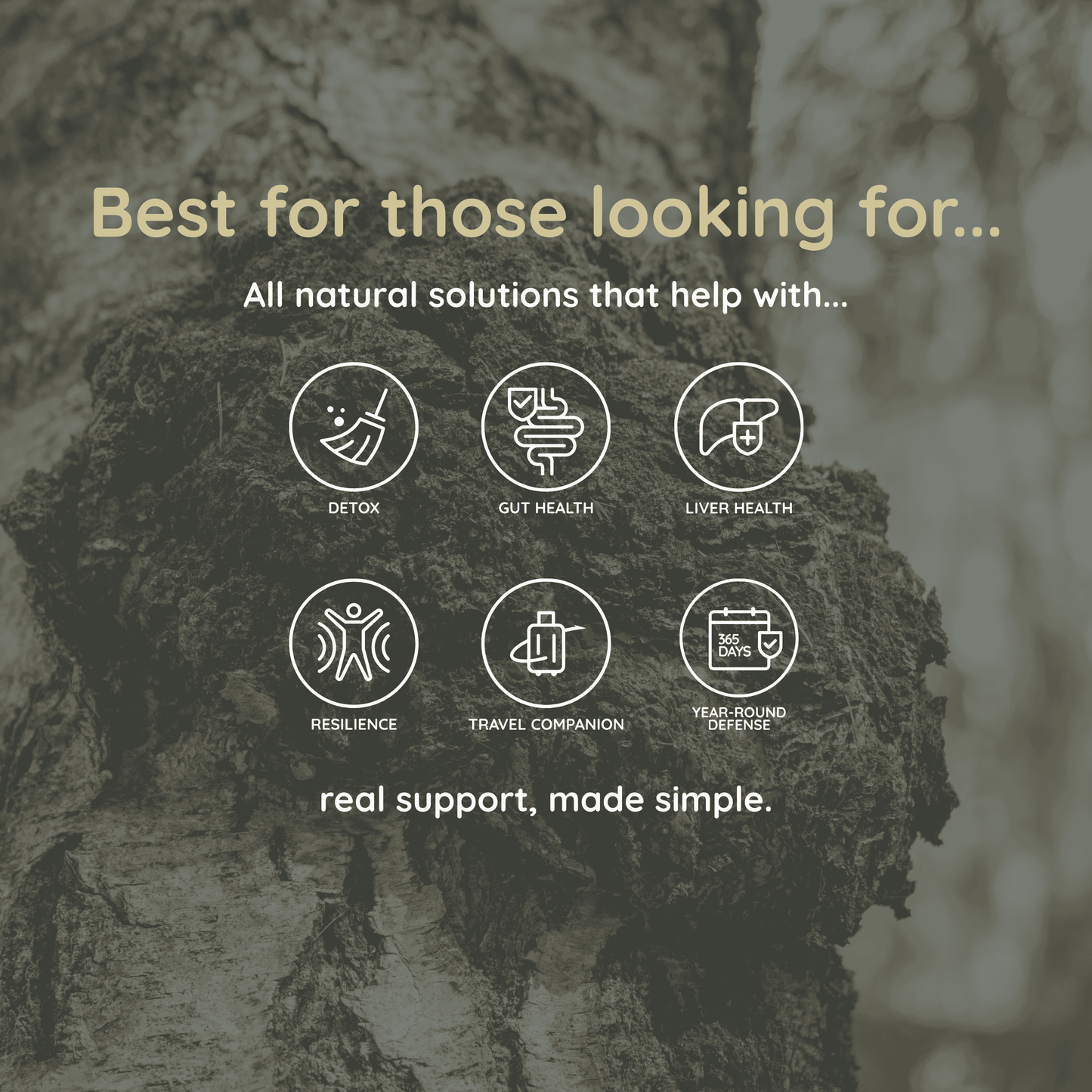 Purpose graphic showing Immunity is ideal for detoxing, gut and liver support, resilience, and daily immune protection.